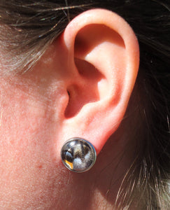 Pale Swallowtail Post Earrings