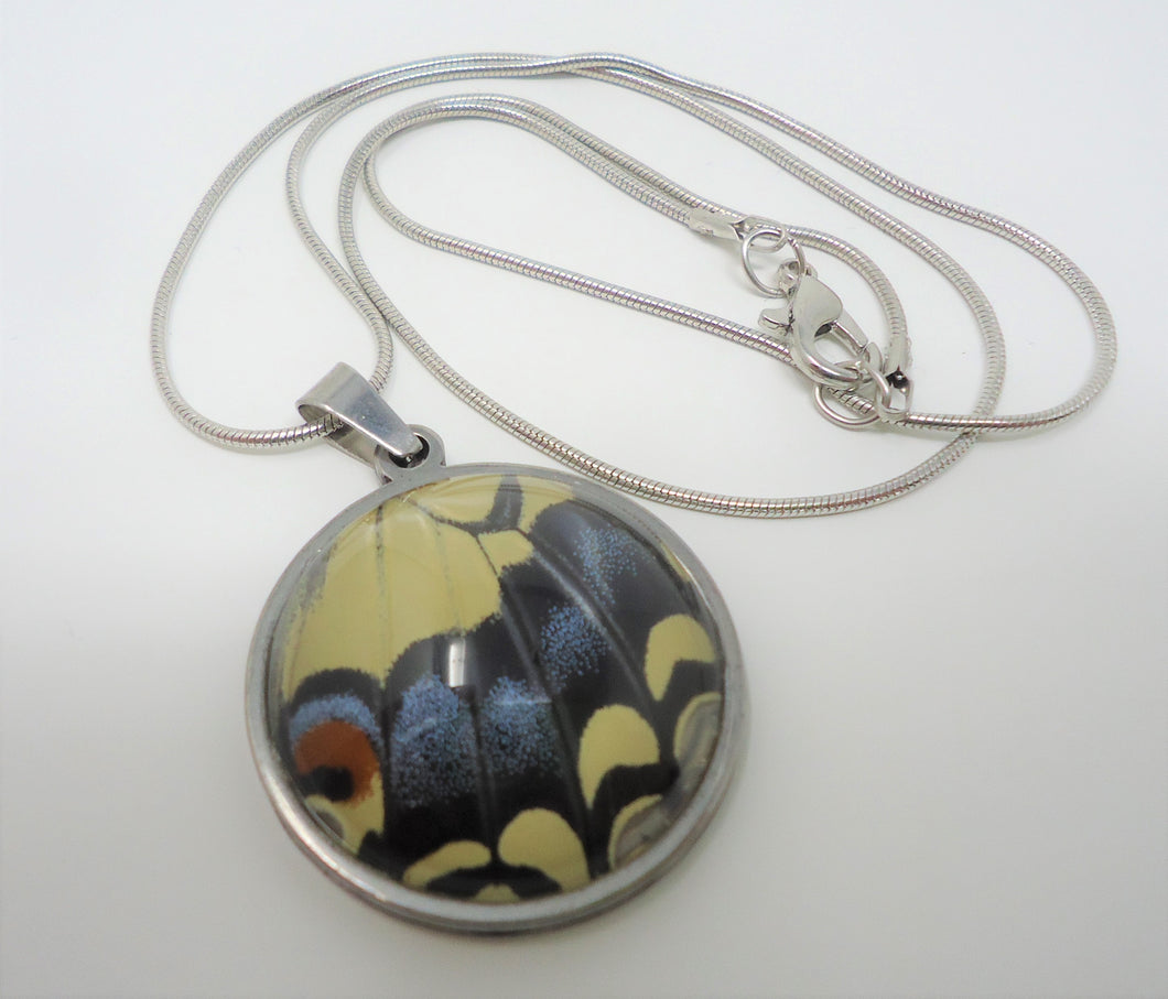 Oregon Swallowtail Pendant Necklace