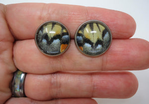 Two-tailed Swallowtail Post Earrings