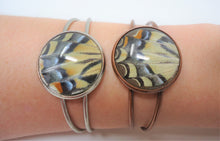 Two Tailed Tiger Swallowtail Bracelet