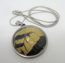 Two Tailed Swallowtail Pendant Necklace