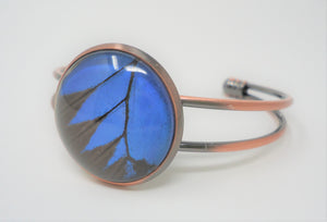 Blue Mountain Swallowtail Bracelet