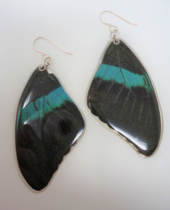 Peacock Swallowtail Resin Earrings