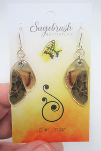 Pacific Green Sphinx Moth Resin Earrings