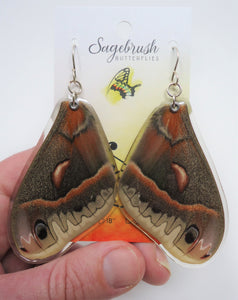 Robin Moth Resin Earrings