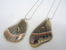 Robin Moth Resin Wing Necklace