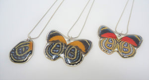 Callicore Butterfly Resin Necklace