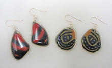 Superb Numberwing Resin Earrings -- Callicore excelsior