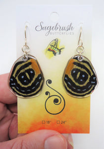 Superb Numberwing Resin Earrings -- Callicore excelsior