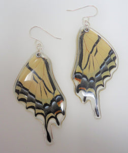 Two Tailed Tiger Swallowtail Resin Earrings - Papilio multicaudata