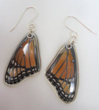 Viceroy Butterfly Resin Earrings