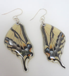 Western Tiger Swallowtail Resin Earrings - Papilio rutulus
